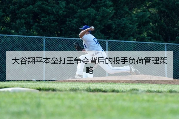 da-gu-xiang-ping-ben-lei-da-wang-zheng-duo-bei-hou-de-tou-shou-fu-he-guan-li-ce-lve-2-866.jpg