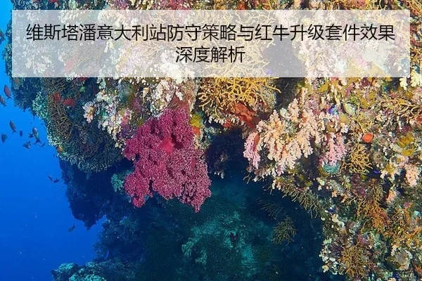 wei-si-ta-pan-yi-da-li-zhan-fang-shou-ce-lve-yu-hong-niu-sheng-ji-tao-jian-xiao-guo-shen-du-jie-xi-2-415.jpg