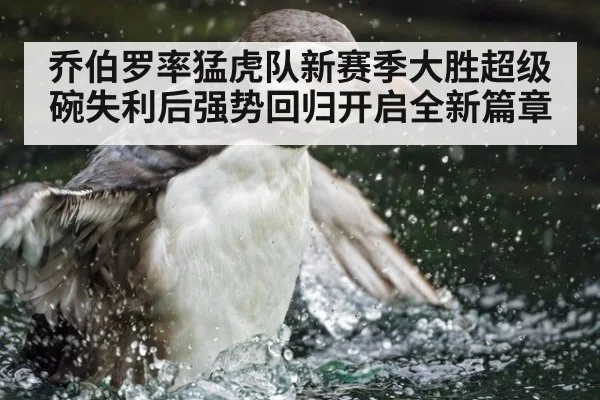 乔伯罗率猛虎队新赛季大胜超级碗失利后强势回归开启全新篇章