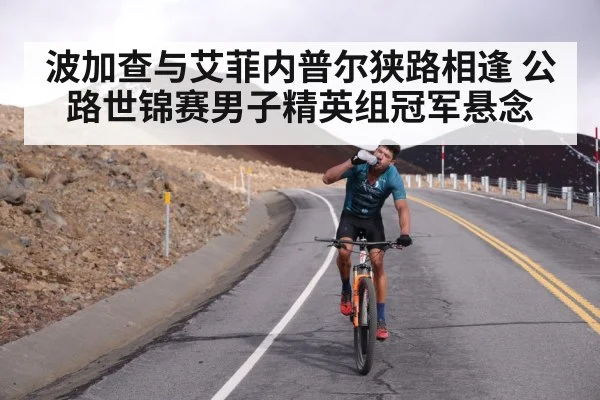 波加查与艾菲内普尔狭路相逢 公路世锦赛男子精英组冠军悬念